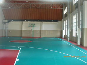 塑膠地板概述 類型、應用與價格指南